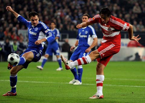 入了一個新 入了一個新